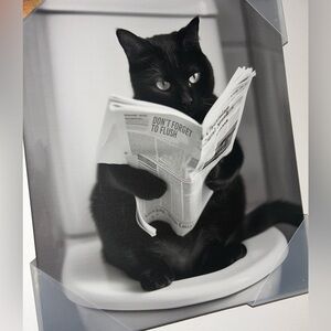 Black Cat Newspaper Bathroom Wall Art NEW!